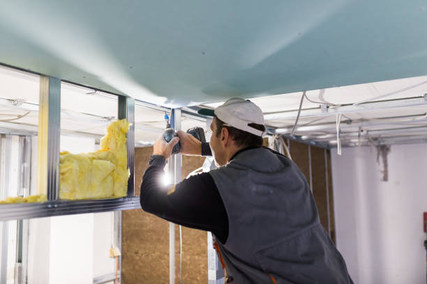 Best Insulation Replacement Services  in Tton, IL