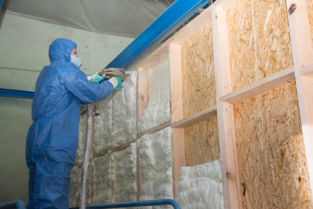 Insulation Repair Services in Tilton, IL